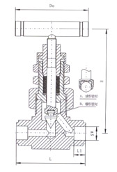 SS-6NBSW8T美標焊接針型閥結構示意圖